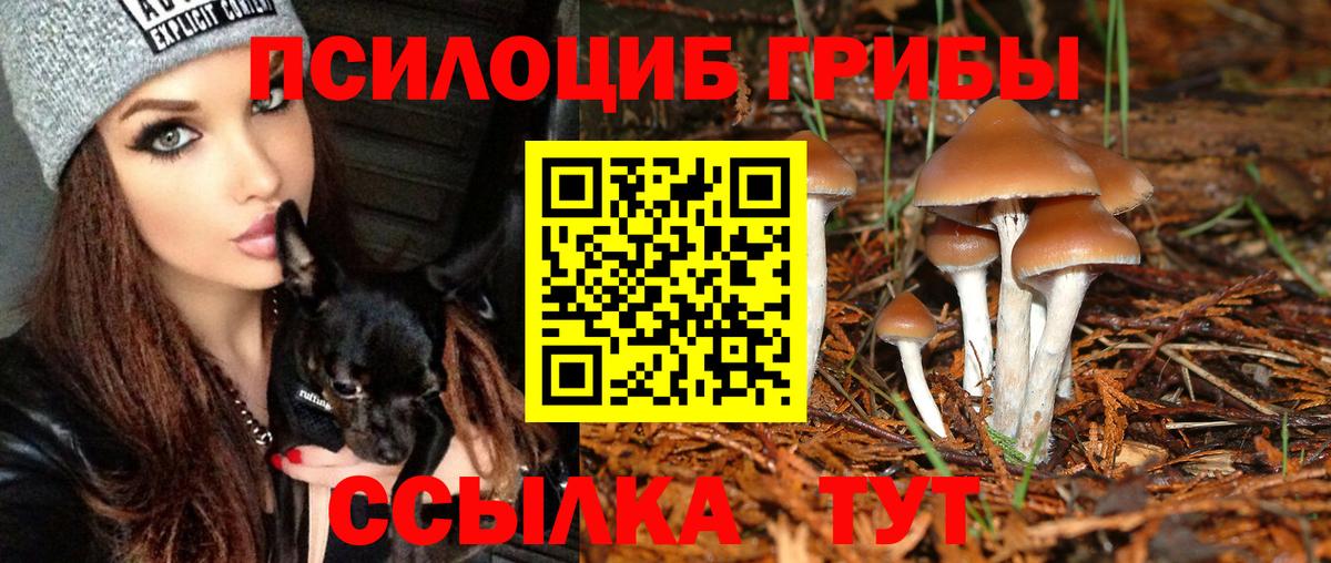 Гулькевичи  где найти   Вход с VPN  Псилоцибиновые грибы прущие грибы 