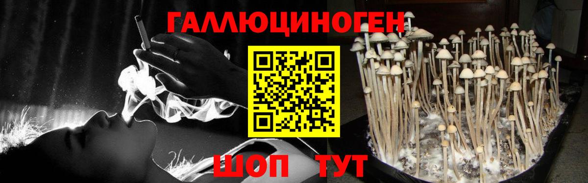 Галлюциногенные грибы MAGIC MUSHROOMS Гулькевичи